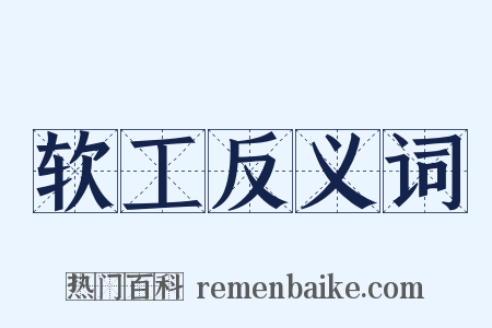 软工反义词是什么意思的图片